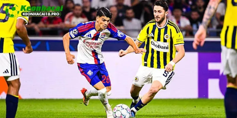 Phân tích phong độ thi đấu của Anderlecht vs Lyon trước giờ bóng lăn